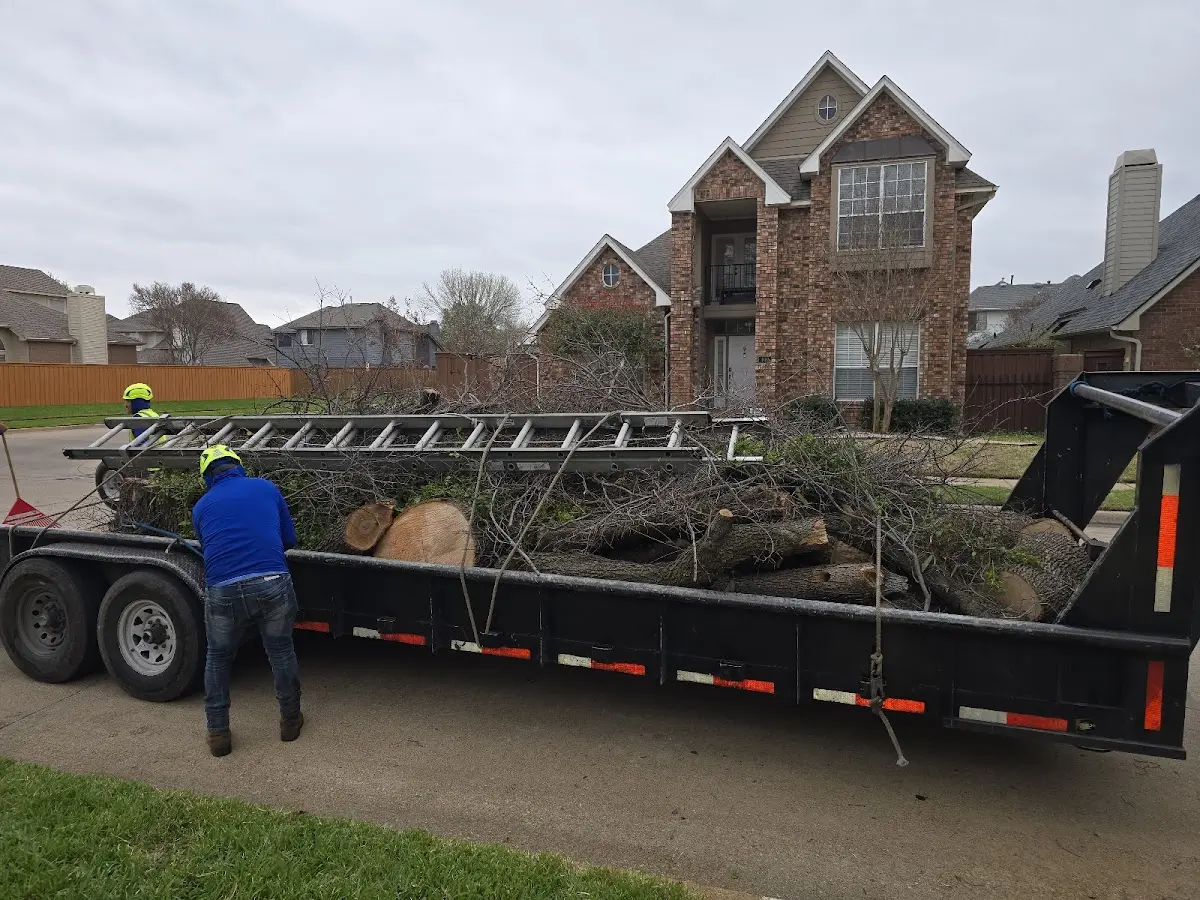 Expert Lot Clearing with proper safety equipment in Flint